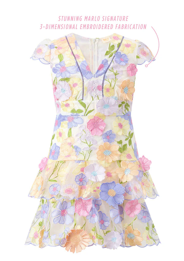 Amara embroidered dress - Image 3